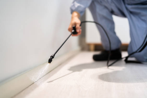 Licensed Cockroach Control service in Steger, IL - Nex Pest Control