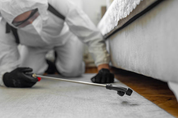 Professional Cockroach Control technician working in Steger, IL